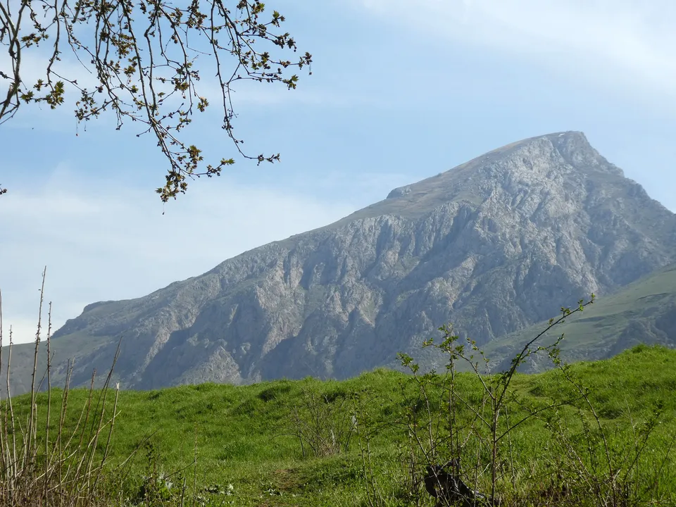Urgut District