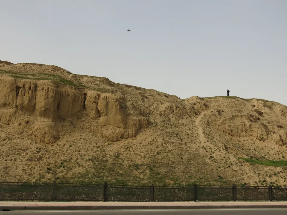 A town rises on Afrasiyab