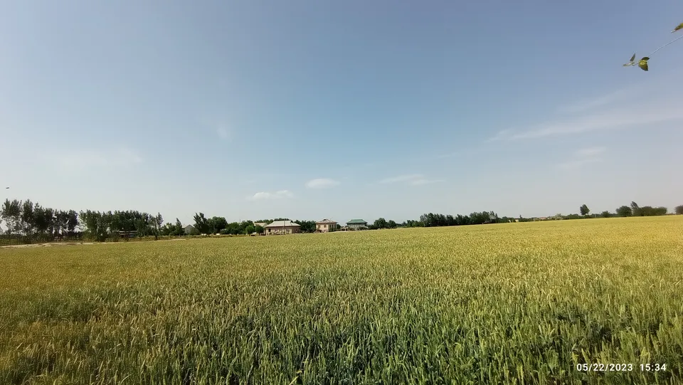 Narpay District