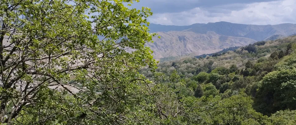 Aman-Kutan